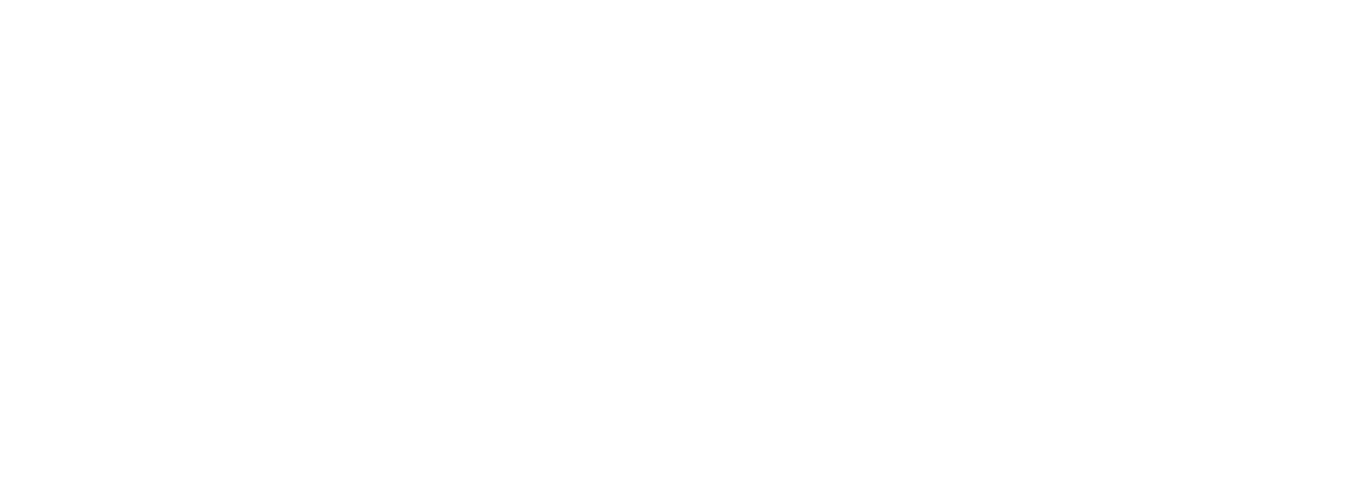 DataTalks.Club white logo